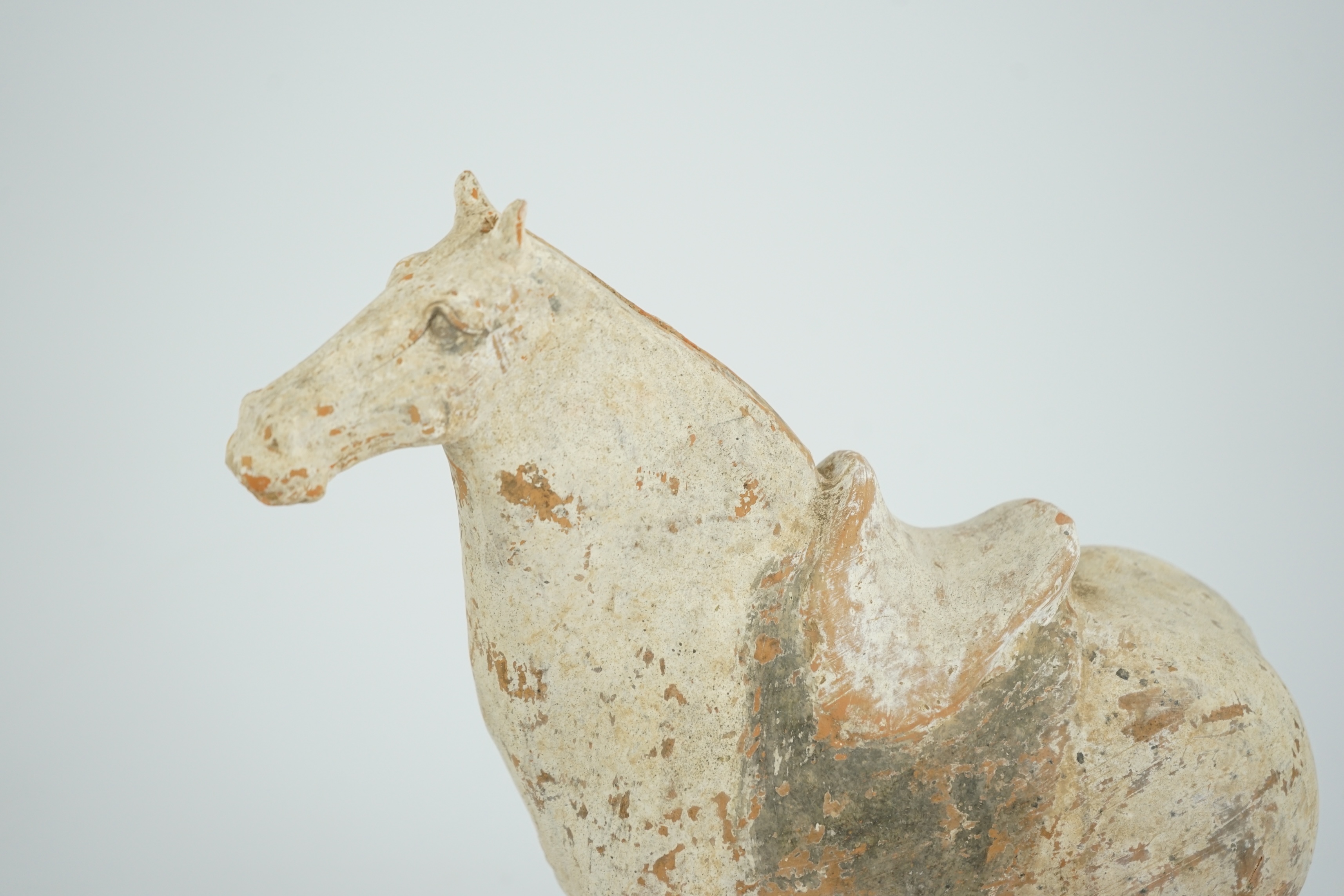 A Chinese painted pottery saddled horse, Tang Dynasty (AD 618-906)